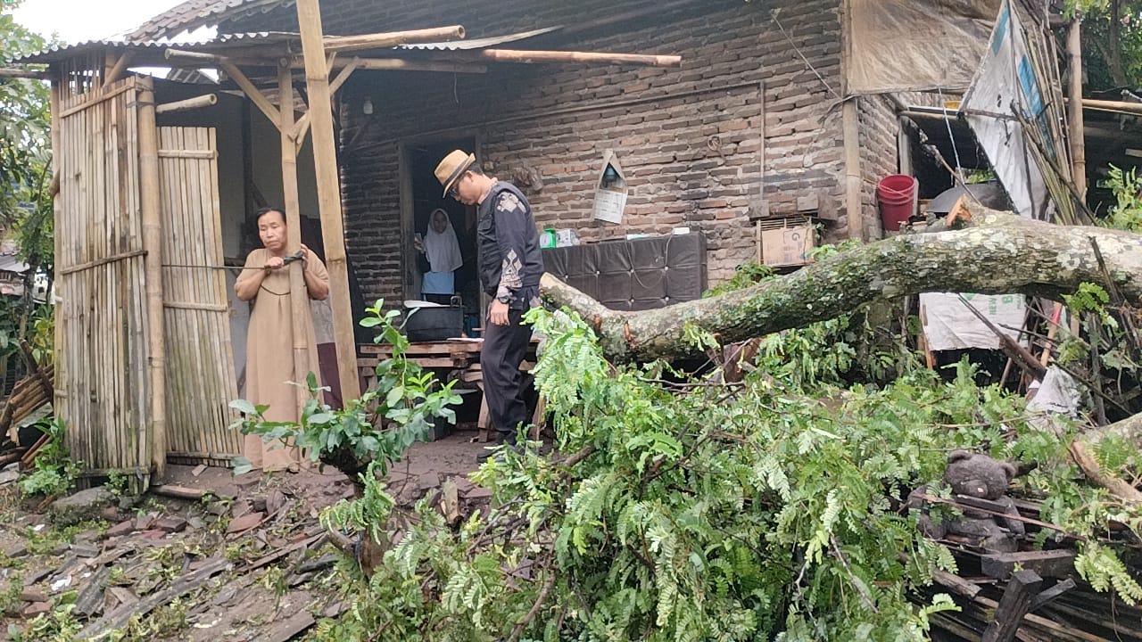 Musibah Pohon Tumbang Timpa Rumah Warga, Kepala Desa dan Ketua BPD Sindangheula Cepat Tanggap