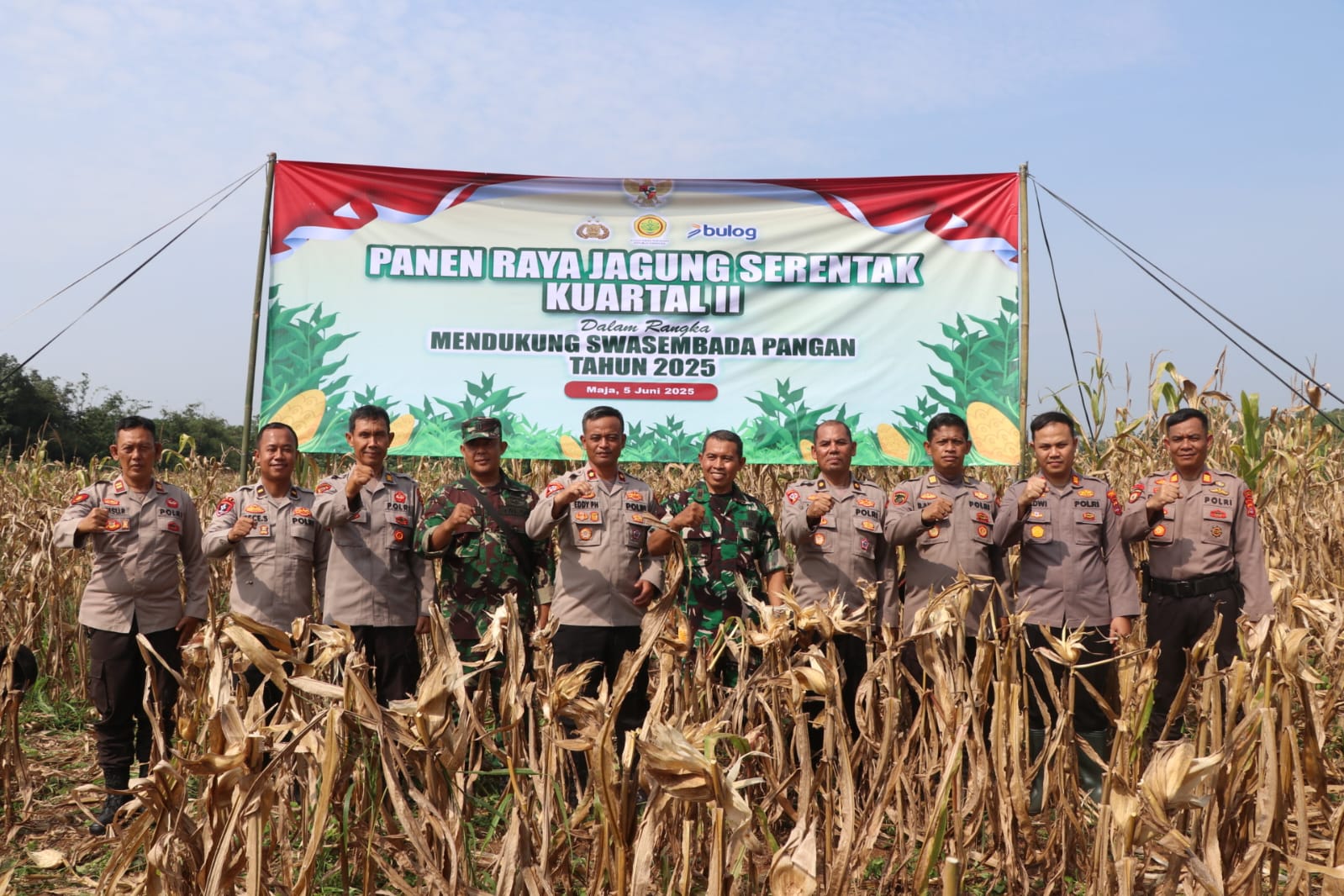 Polres Lebak Polda Banten dampingi Petani Panen Raya Jagung Serentak Kuartal II Dalam Rangka Mendukung Swasembada Pangan.
