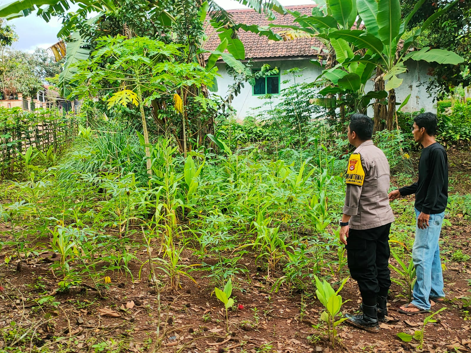 Dukung Astacita Dan Poliran, Polsek Curugbitung Polres Lebak Laksanakan Pengecekan ke Lahan Perkebunan Jagung dan Perkarangan Bergizi