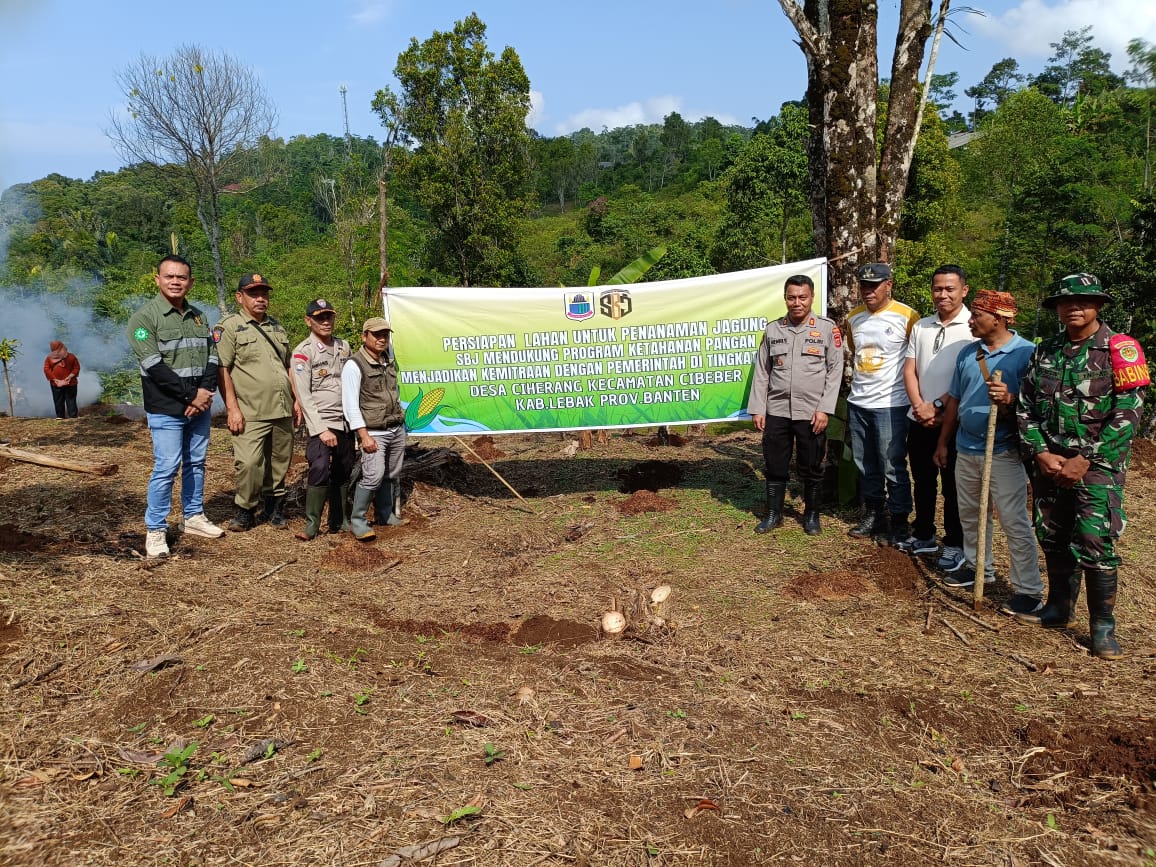 SBJ Dalam Mendukung Program Pemerintah, di Ciherang Tanam Jagung Seluas 1 Hektare