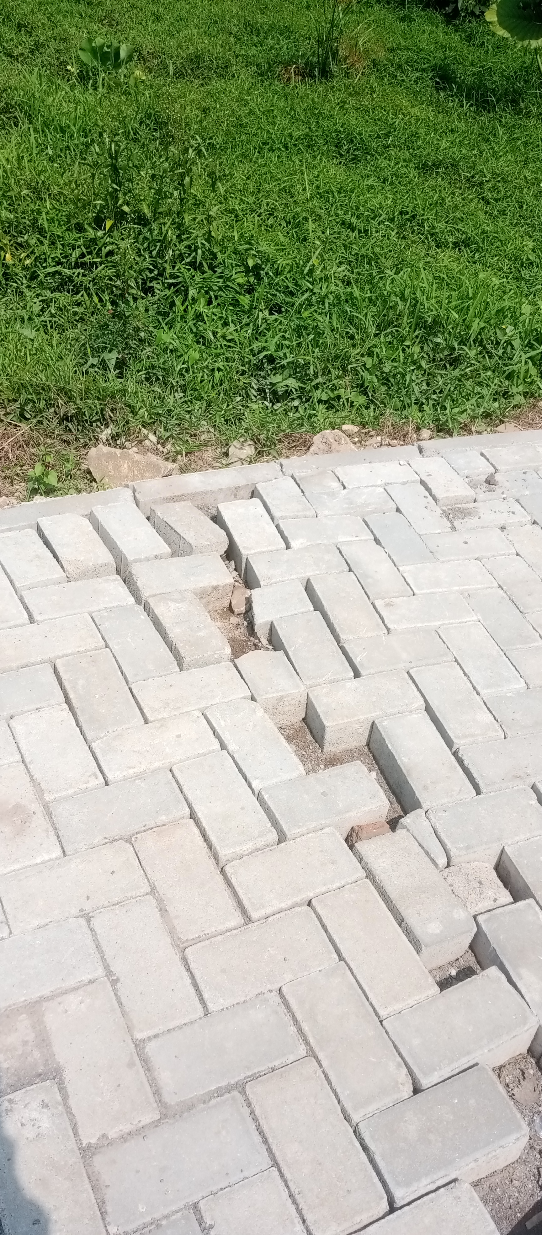 Pekerjaan Siluman.Tampa PIP.Diduga Asal Asalan.Tanpa Keterbukaan Publik