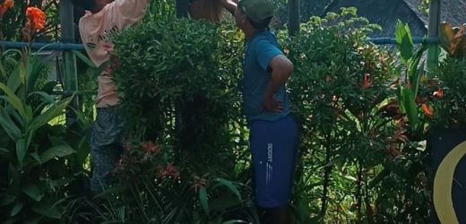 Gotong Royong Warga Kampung Pekijing: Wujud Nyata Semangat Membangun Kampung Literasi dan Budaya  Serang, 12 Oktober 2025