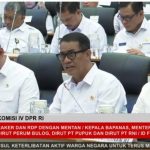 Pemerintah: Ketersediaan Jagung, Gula, hingga Telur Ayam Diproyeksikan Surplus Jelang El Nino “Godzilla