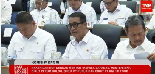 Pemerintah: Ketersediaan Jagung, Gula, hingga Telur Ayam Diproyeksikan Surplus Jelang El Nino “Godzilla