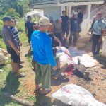 PT. Samudera Banten Jaya Raih Apresiasi Tinggi dari MPC Pemuda Pancasila Kab. Lebak Lewat Kegiatan Qurban dan Tanggung Jawab Sosial