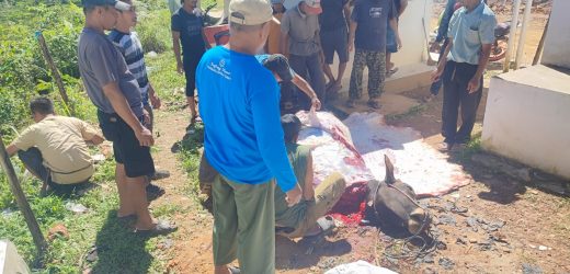 PT. Samudera Banten Jaya Raih Apresiasi Tinggi dari MPC Pemuda Pancasila Kab. Lebak Lewat Kegiatan Qurban dan Tanggung Jawab Sosial