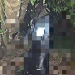 Warga Cipocokjaya geger penemuan Mayat Tanpa Identitas di kebun melinjo Kelurahan Gelam