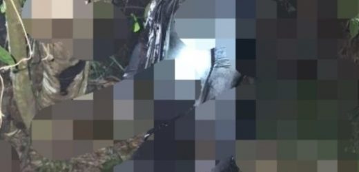 Warga Cipocokjaya geger penemuan Mayat Tanpa Identitas di kebun melinjo Kelurahan Gelam