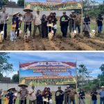 Kapolsek Bojong Manik Beserta Jajaran Tanam Jagung Hibrida Kuartal II di Desa Mekar Rahayu