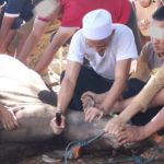 Wujud Kepedulian dan Kebersamaan, Lapas Serang Gelar Pemotongan Hewan Qurban Bersama Warga Binaan