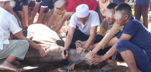Wujud Kepedulian dan Kebersamaan, Lapas Serang Gelar Pemotongan Hewan Qurban Bersama Warga Binaan